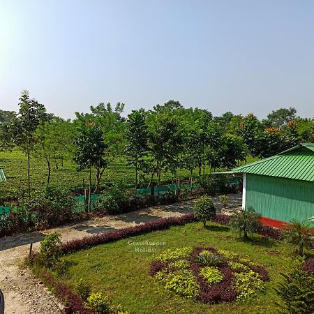 Grasshopper Jungle Queen Resort Chālsa المظهر الخارجي الصورة