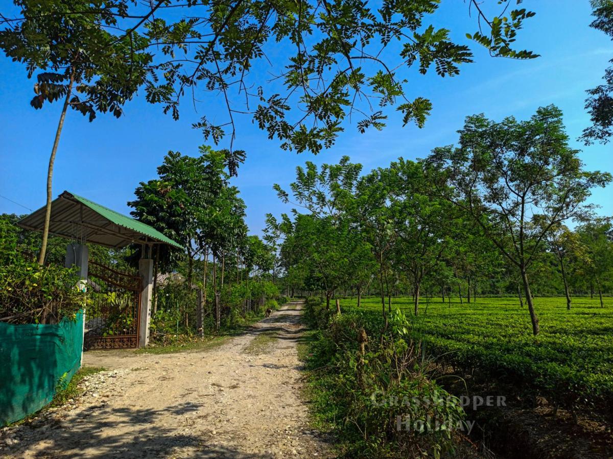 Grasshopper Jungle Queen Resort Chālsa المظهر الخارجي الصورة