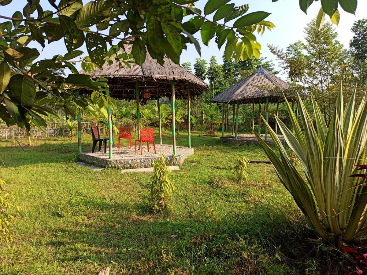 Grasshopper Jungle Queen Resort Chālsa المظهر الخارجي الصورة