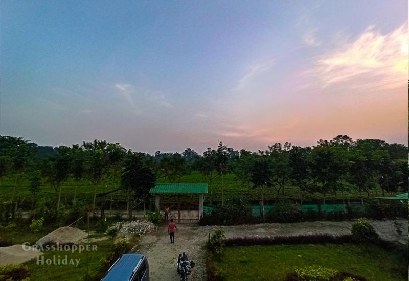 Grasshopper Jungle Queen Resort Chālsa المظهر الخارجي الصورة