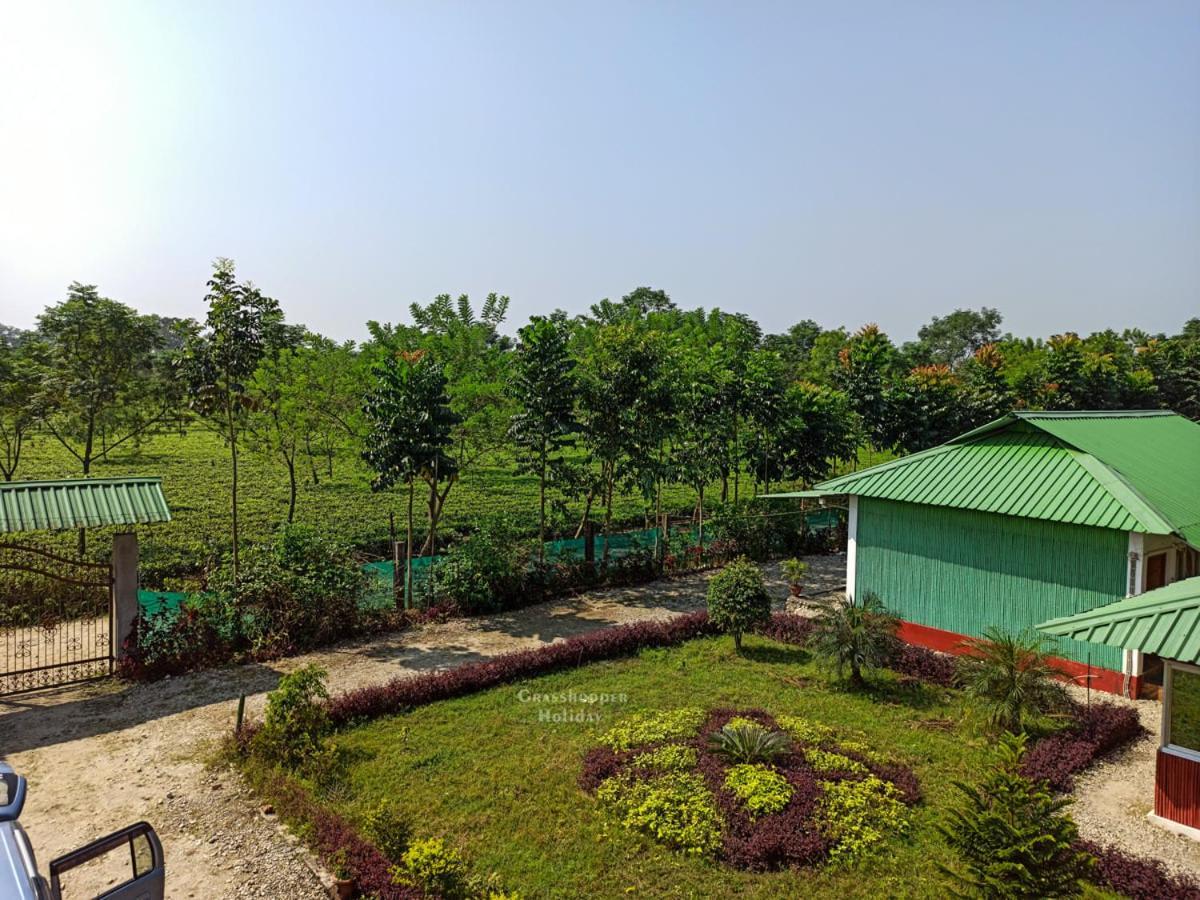 Grasshopper Jungle Queen Resort Chālsa المظهر الخارجي الصورة