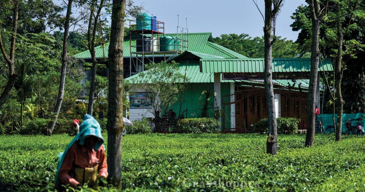 Grasshopper Jungle Queen Resort Chālsa المظهر الخارجي الصورة